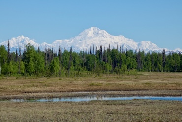 Mountain and marsh landscape